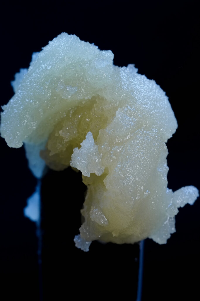 Snowday Rosin